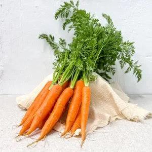 Baby Carrot