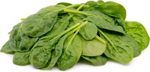 Baby Spinach  (100 gm pkt)