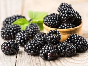Blackberry (Fruits)  (Imported) (125 gm pkt)