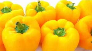 Capsicum (Yellow)