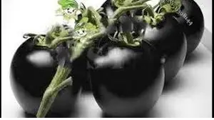 Cherry Tomatoes  (Black) (Imported)