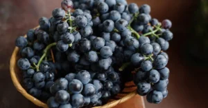 Grapes (Black)
