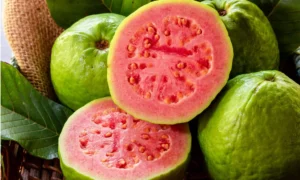 Guava (Peru) (Red)