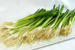 Leek