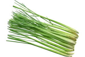 Lemongrass