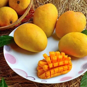 Mango (Dozen)