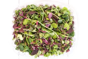 Micro Greens  (Mix) (50 gm pkt)