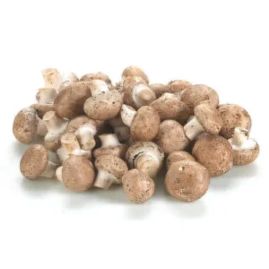 Mushroom (Bulk)