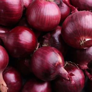 Onion (Red)