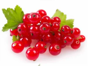 Red Currant (Fruits) (Imported) (125 gm pkt)