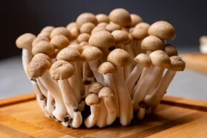 Shimeji Mushroom (Brown) (Imported)