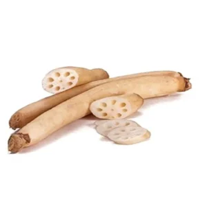 Lotus Root (Indian) (Per KG)