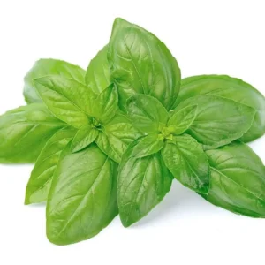Basil (Per kg)