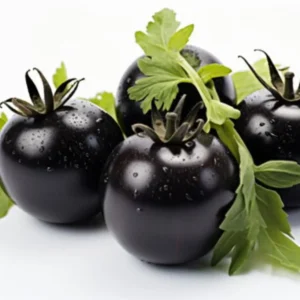 Cherry Tomatoes  (Black) (Imported) (Per KG)