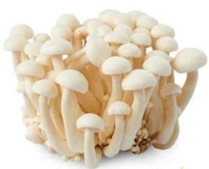 Enoki Mushroom  (Imported) (Per kg)