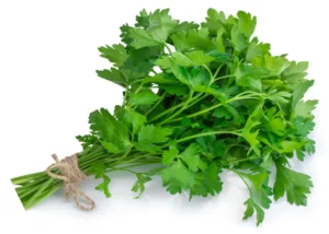 Flat Parsley (Per KG)