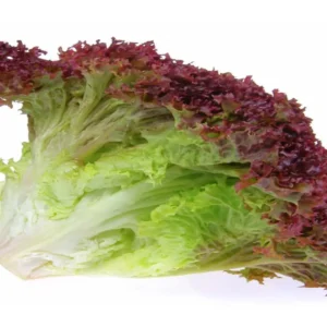 Lolo Rosso  (Red lettuce) (Per KG)