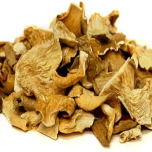 Oyster Mushroom  (Dried) (Per KG)