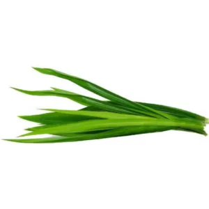 Pandan Leaf (Leaves) (Imported) (Per KG)