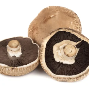 Portobello Mushroom (Indian) (Per KG)