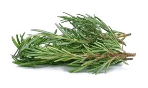 Rosemary (Per KG)