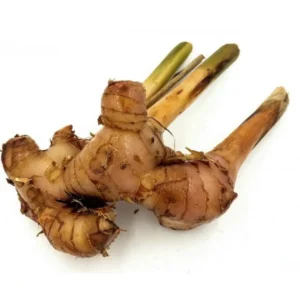 Thai Ginger (Per KG)