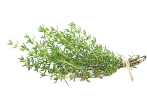 Thyme (Per KG)