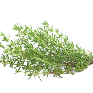 Thyme (Per KG)