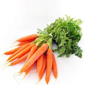 Baby Carrot (Per KG)