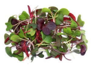 Micro Greens  (Mix) (50 gm pkt)