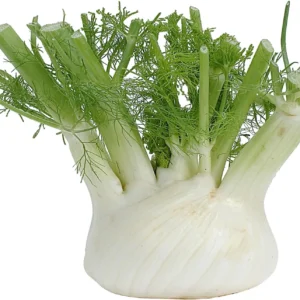 Fennel (Per KG)