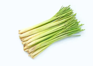 Lemongrass (Per KG)