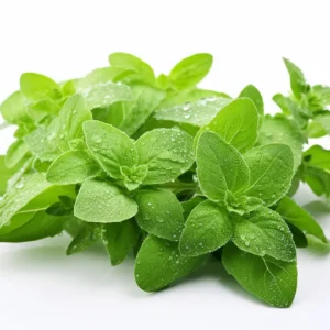 Oregano (Per KG)