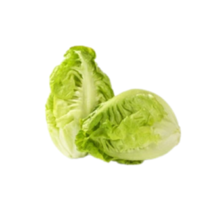 Baby gem lettuce  (Imported) (Per KG)