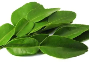 Lemon Leaves (Indian) (Per kg)
