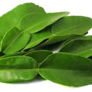 Lemon Leaves (Indian) (Per kg)